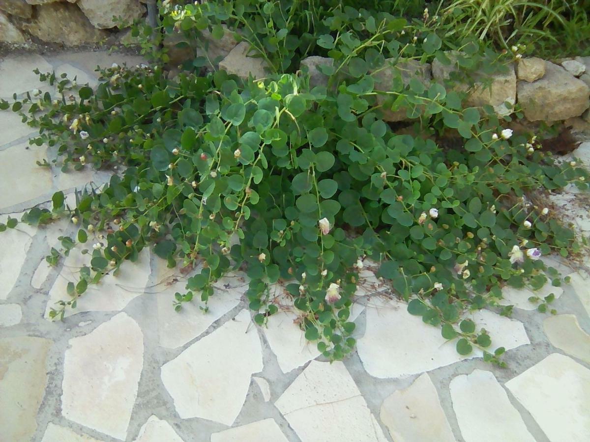 Sbarcatore Dei Turchi Brucoli Exterior foto